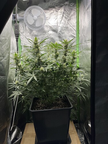 Growreport Bild 11