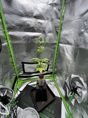 Growreport Bild 12