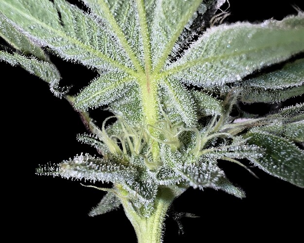 Growreport Bild 6