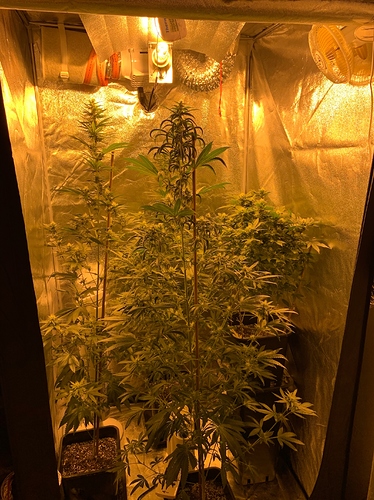 Growreport Bild 2