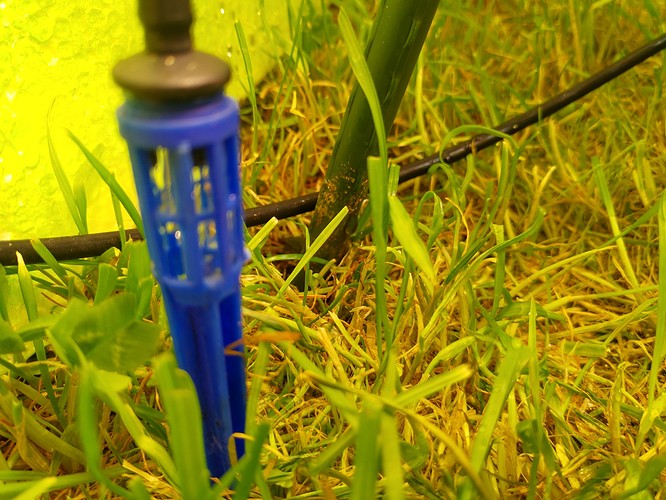 Growreport Bild 1