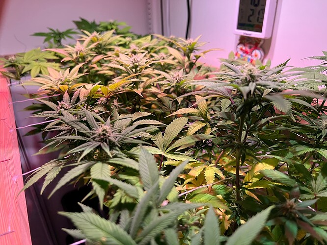 Growreport Bild 3