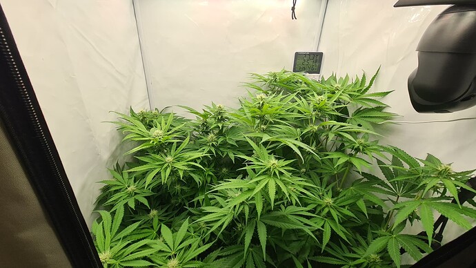 Growreport Bild 5