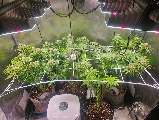 Growreport Bild 14
