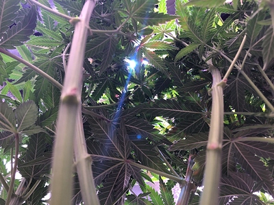 Growreport Bild 21