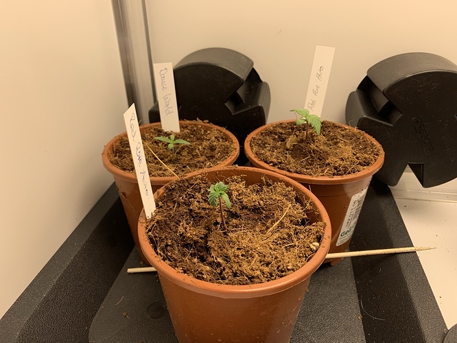Growreport Bild 8