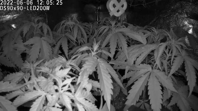 Growreport Bild 4