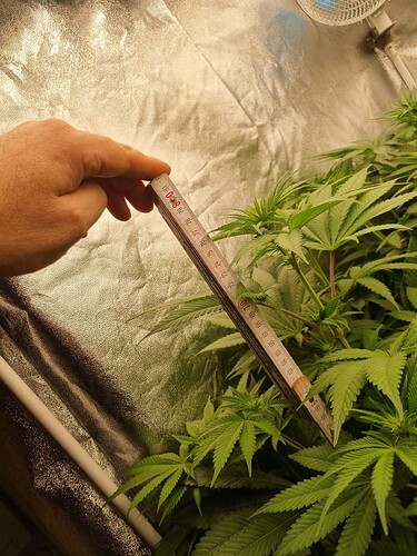 Growreport Bild 5