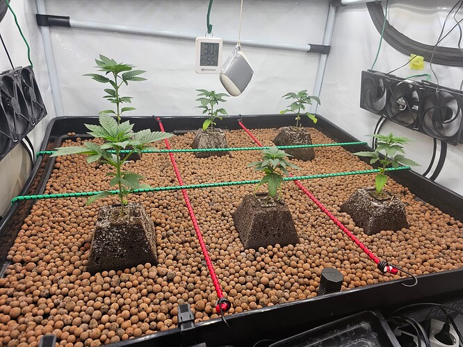 Growreport Bild 8