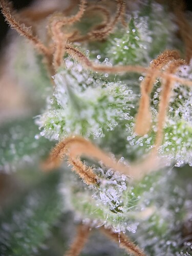 Growreport Bild 19