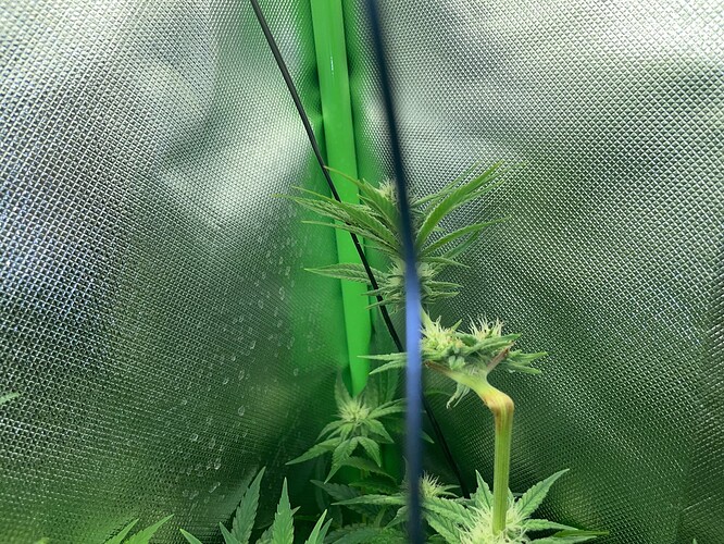 Growreport Bild 20