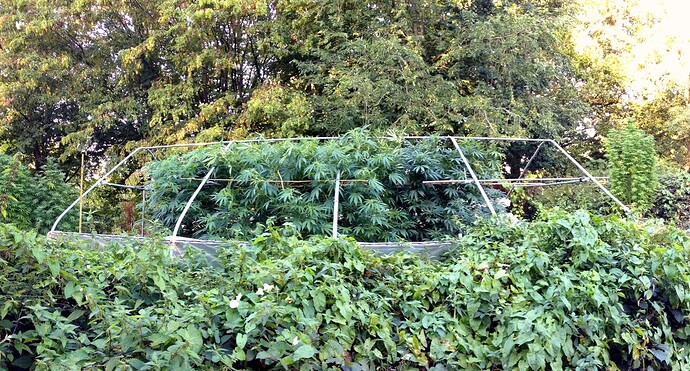 Growreport Bild 14