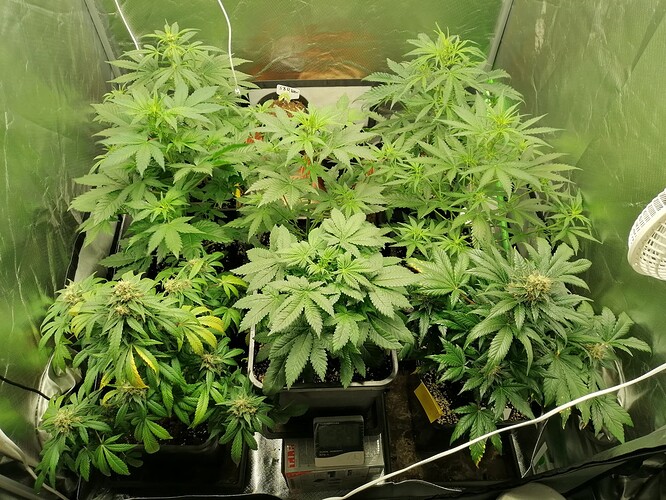 Growreport Bild 10