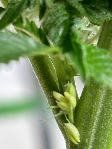 Growreport Bild 2