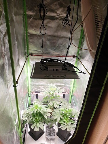 Growreport Bild 4