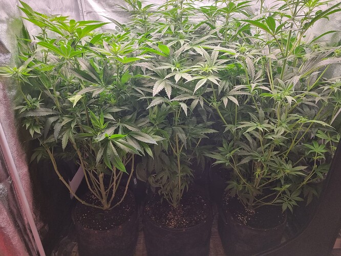 Growreport Bild 17