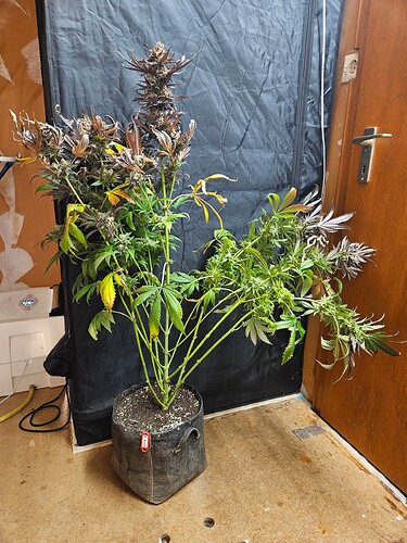 Growreport Bild 18