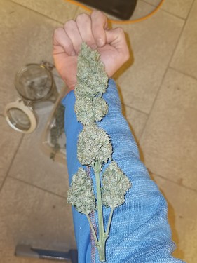 Growreport Bild 14