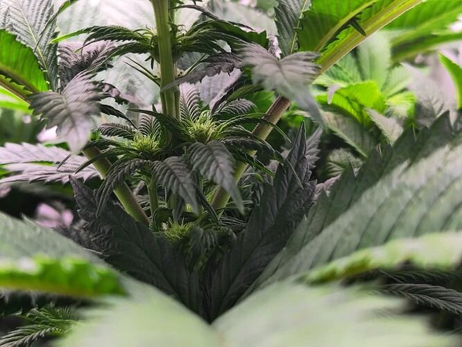 Growreport Bild 2