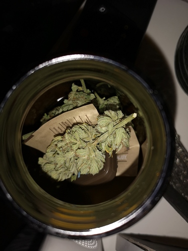 Growreport Bild 3