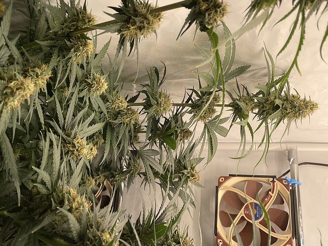 Growreport Bild 3