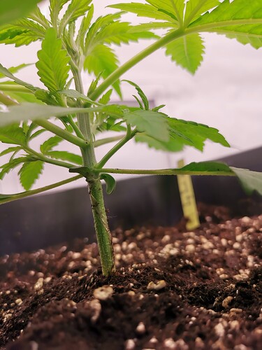 Growreport Bild 22