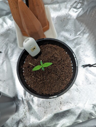 Growreport Bild 24