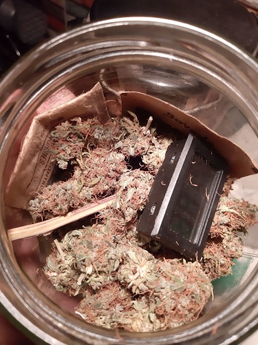 Growreport Bild 13