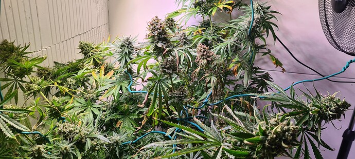 Growreport Bild 17
