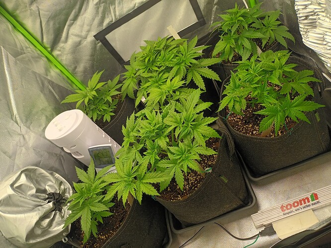 Growreport Bild 1