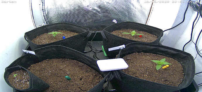 Growreport Bild 1