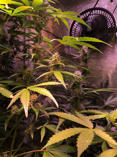 Growreport Bild 34