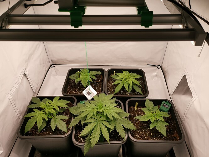 Growreport Bild 10