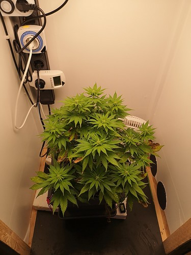 Growreport Bild 7