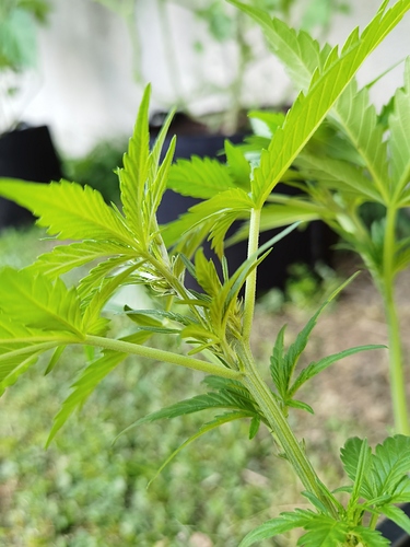 Growreport Bild 14