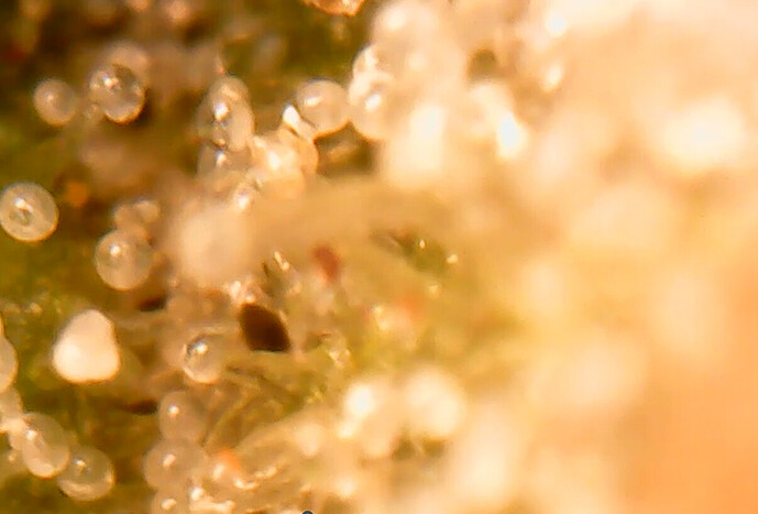 Growreport Bild 18