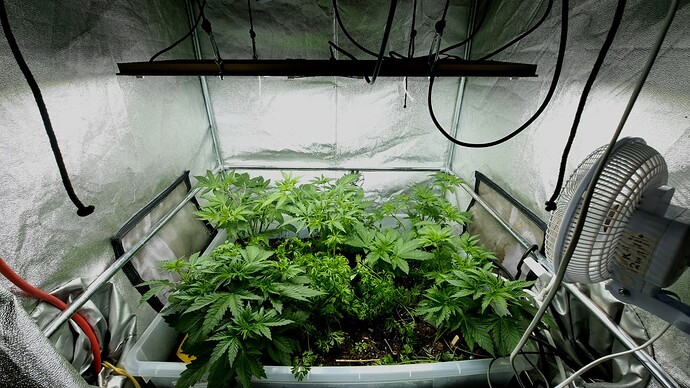 Growreport Bild 11