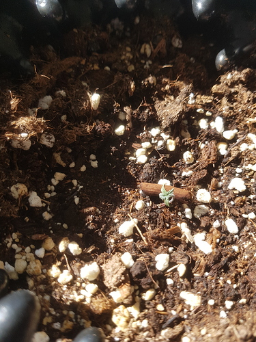 Growreport Bild 24