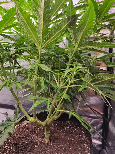 Growreport Bild 7