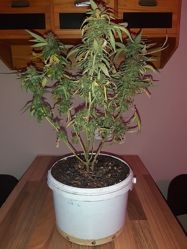 Growreport Bild 18