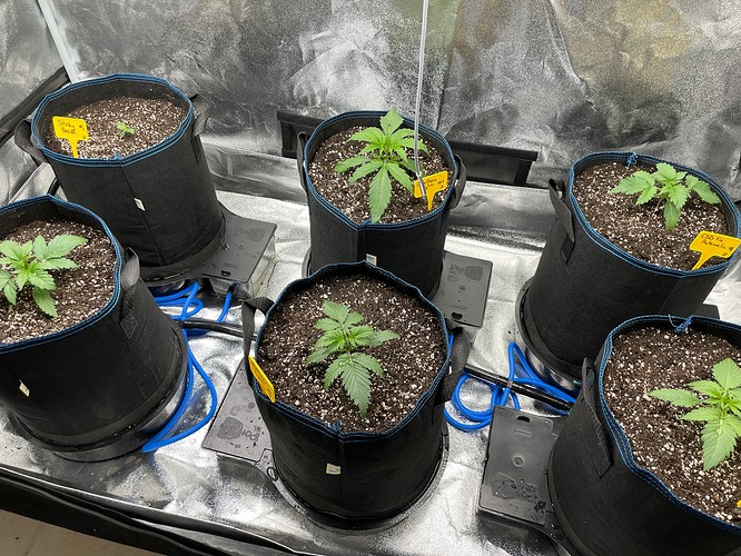 20211007_201406563_iOS