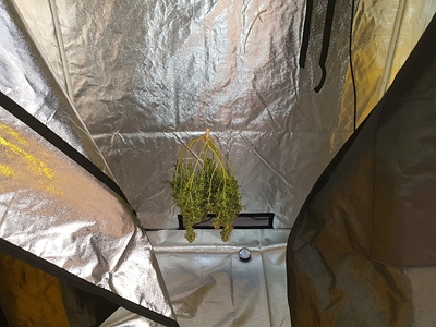 Growreport Bild 6