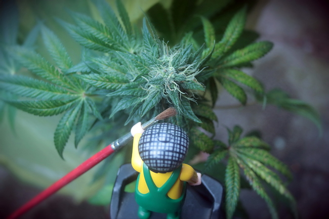 Growreport Bild 30