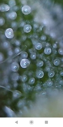 69578053_1210313229141549_534113096319369216_n