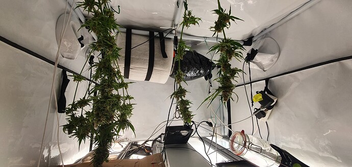 Growreport Bild 25