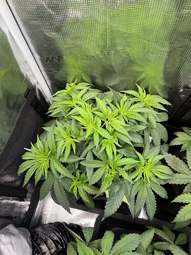 Growreport Bild 9