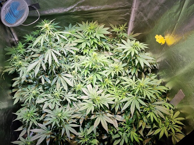 Growreport Bild 14