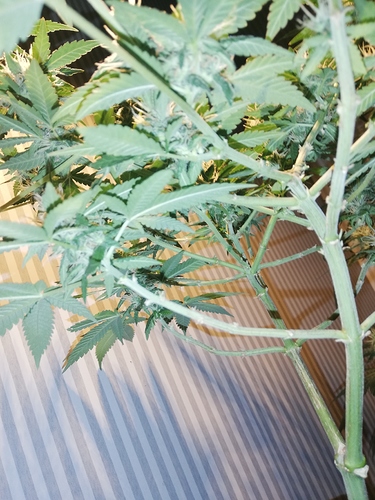 Growreport Bild 11