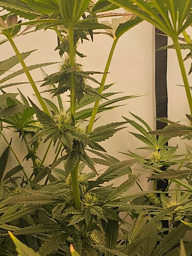 Growreport Bild 13