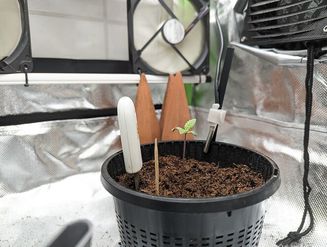Growreport Bild 22